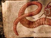 Ужас монгольской пустыни – гигантский червь!