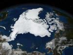 Полюс смерти. Почему экспедиции к Южному полюсу погибали при загадочных обстоятельствах?