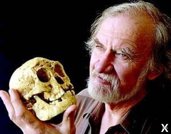 Профессор Майк Морвуд с черепом Homo ...
