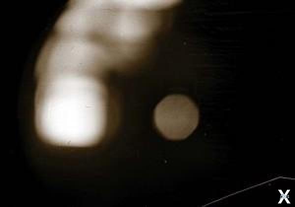 Последний кадр фотопленки Юрия Кривон...