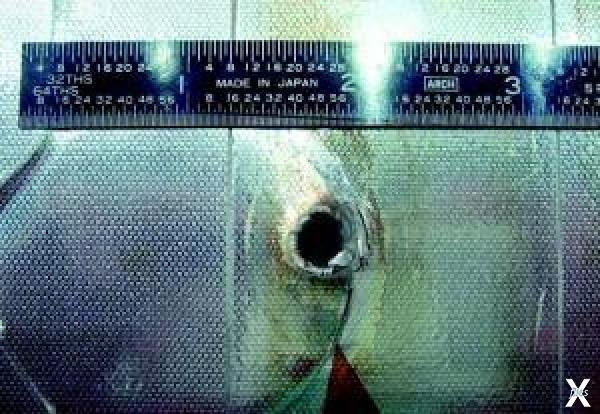 Повреждения от космического мусора на...