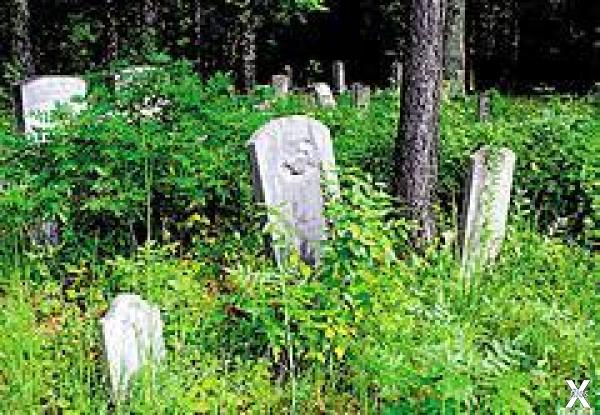 Кладбище в лесу близ Дадлитауна