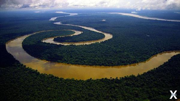 Вид на Амазонку с высоты птичьего полета