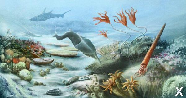 Подводная жизнь в силурийский период