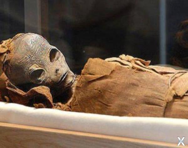 Найденные учёными мумии не похожи на ...