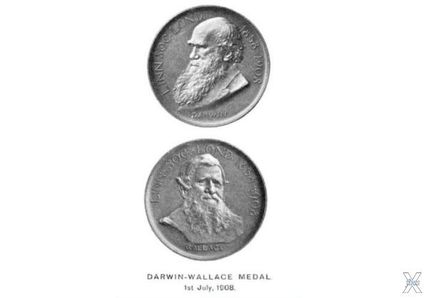 Медаль Дарвина-Уолесса
