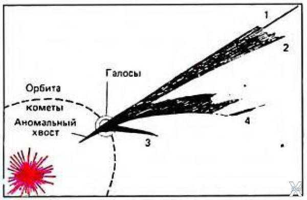 Рис. 2. Типы кометных хвостов