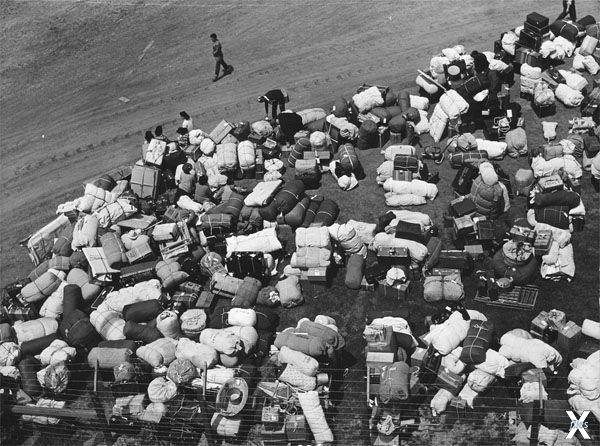 Сбор багажа депортируемых. Люди — отд...