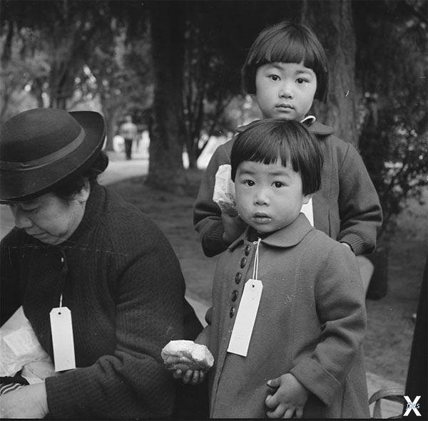 Японская семья, получившая специальны...