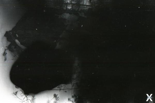 Пленка № 5 снимок № 26