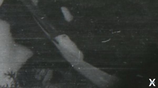 Нарты на которых лежал труп охотника-...