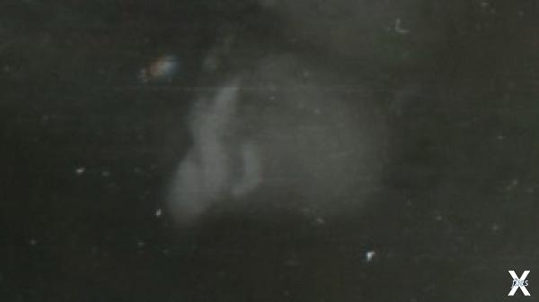 Голова трупа на нартах крупным планом