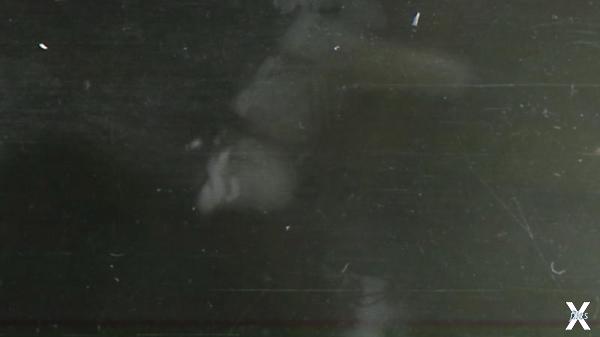 Общий вид захоронения на нартах