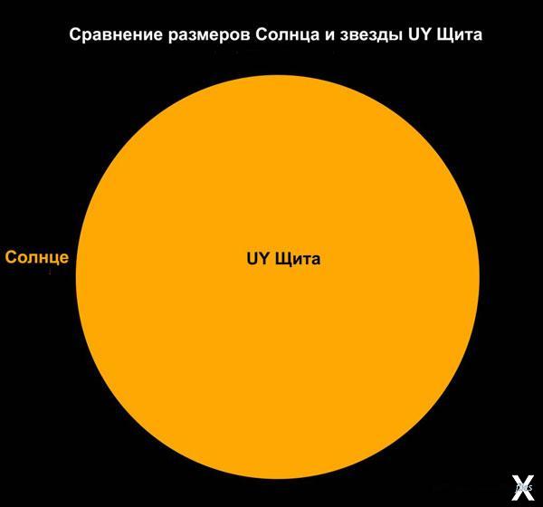 Сравнение размеров Солнца и звезды UY...