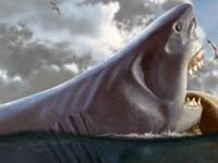 Гигантская вымершая акула мегалодон