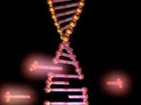 В поисках противоядия от CRISPR: можно ли обращать изменения в генах?