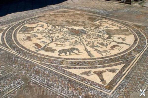 Мозаика на полу римского дома в Волюб...