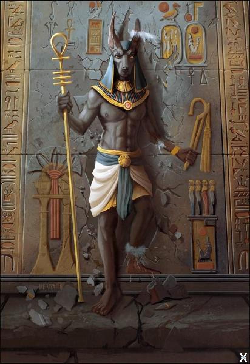 Анубис это история 5. Анубис Бог. Нумибис Египетский Бог. Анубис богиня Египта. Боги Египта сет и Анубис.