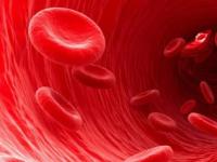 Почему у людей разные группы крови?