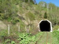 Тропическое лето в Якутии: каким был самый фантастический проект СССР