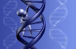 Люди-химеры: почему у некоторых людей сразу несколько разных ДНК