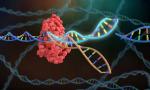 Технология CRISPR: редактирование генома человека