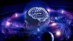Мозг и Вселенная