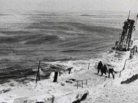 Зачем Сталин искал в Антарктиде секретную базу Третьего Рейха
