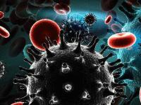 Самые опасные эпидемии: откуда приходит вирус смерти?