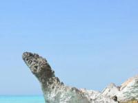 Сокотра - один из самых загадочных островов мира