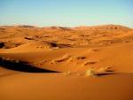Что похоронено под пустыней Сахарой?