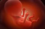 Феномен непорочного зачатия: случаи, когда женщины беременели без контактов с мужчинами