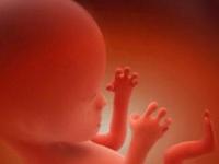 Феномен непорочного зачатия: случаи, когда женщины беременели без контактов с мужчинами