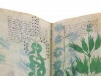 Рукописи и секретные коды, которые переписывают историю: свежие находки