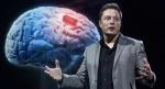 Проникновение в мозг: Neuralink как самый фантастический проект Илона Маска