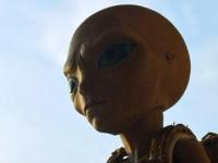 Любопытная теория о том, почему у инопланетян большие головы