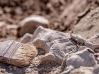 Предметы, которых не может быть