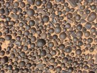 Камни моки и марсианская черника
