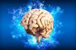 Крупнейшие мифы относительно человеческого мозга