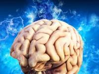 Крупнейшие мифы относительно человеческого мозга