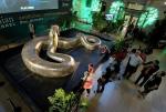 Титанобоа: 15-метровая змея, которая пожирала гигантских крокодилов