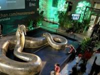 Титанобоа: 15-метровая змея, которая пожирала гигантских крокодилов