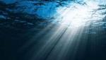 Какими бывают мистические звуки под водой в океане и откуда они берутся