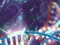 Биологический химеризм людей с двойной ДНК