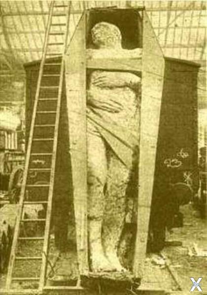 Ирландская мумия