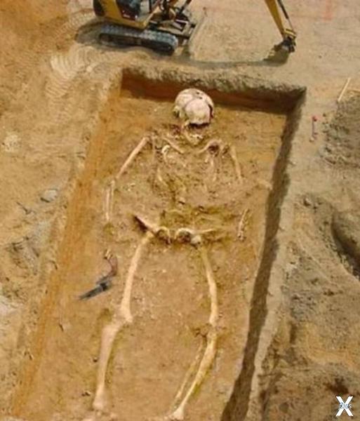 Фейковый скелет, Индия