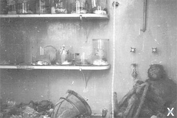 Погром в лаборатории Воронова, 1940 г.