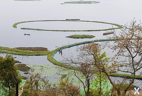 Озеро Локтак в Индии. Это пресное озе...