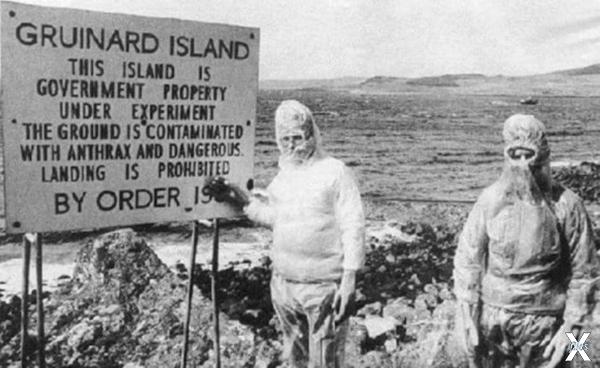 Ученые на острове Грюинард
