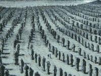 Тайна карнакского мегалитического комплекса